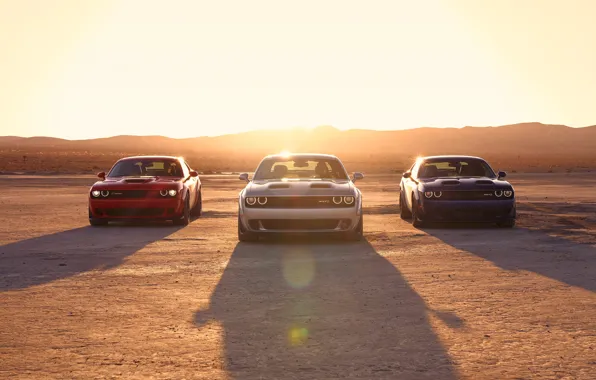 Dodge, Challenger, Sunset, SRT Hellcat