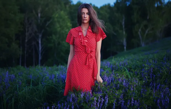 Picture girl, flowers, pose, red dress, nature, polka dot, lupins, Sergey Fat