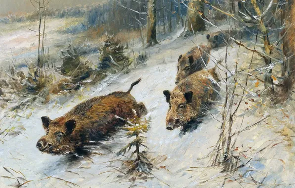 Winter, Trees, Snow, Running, Picture, German artist, Wilhelm Lorenz, Wild Boars