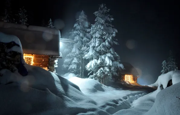 Night, Night, Winter Forest, Winter Forest, Snow houses, Snow houses