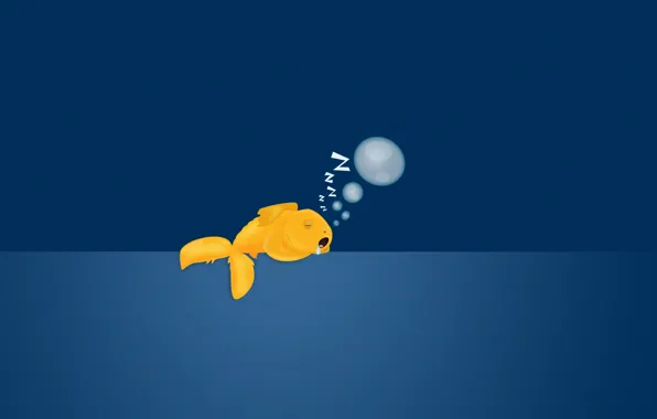 Bubbles, background, sleeping, goldfish