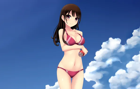 Girl, sexy, cleavage, beach, long hair, brown hair, boobs, anime