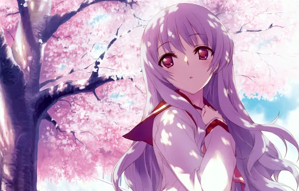 Trees, Sakura, art, girl, To Heart 2, kawa bring stock live, maaryan