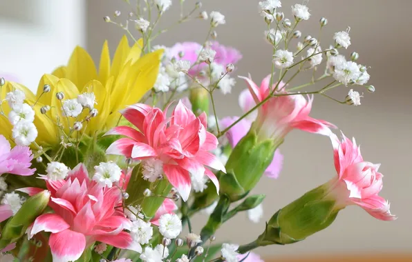 Sprig, bouquet, petals, buds
