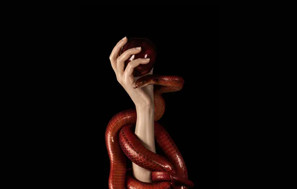 Picture Apple, hand, snake, Red
