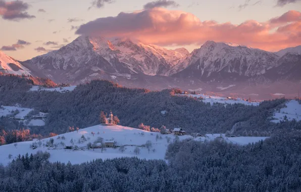 Winter, forest, clouds, mountains