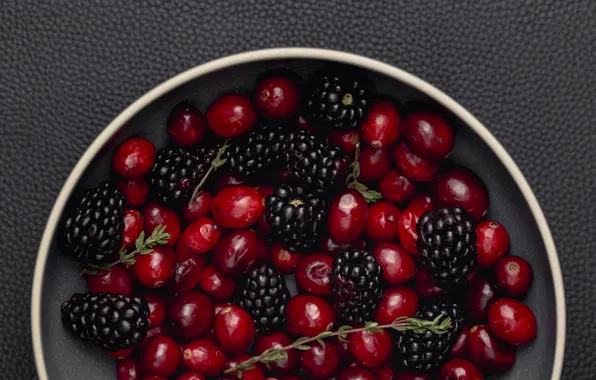 Berries, BlackBerry, cranberry