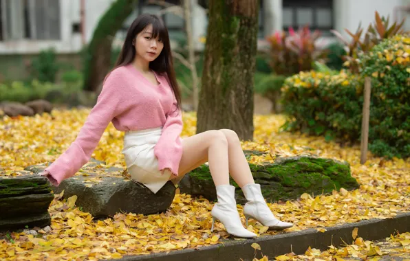 Autumn, look, leaves, pose, stones, tree, model, moss