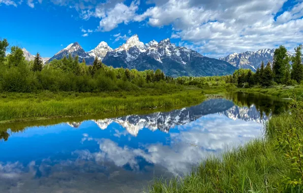 Picture trees, mountains, nature, reflection, green grass, beauty, space, space