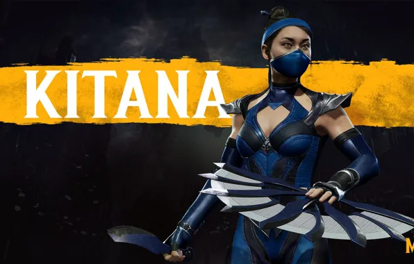 Fighter, Art, Mortal Kombat, Mortal Kombat, Mortal Kombat, Kitana, Character, Characters