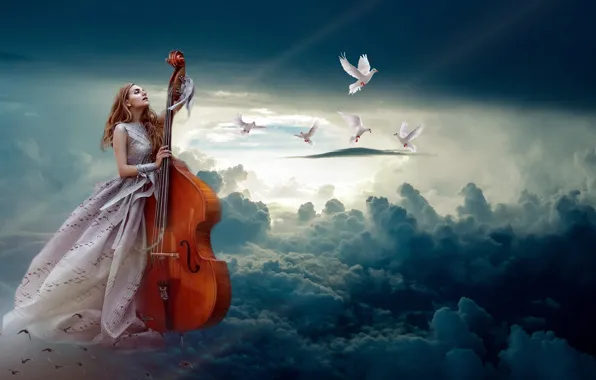 The sky, girl, clouds, light, flight, birds, pose, fog