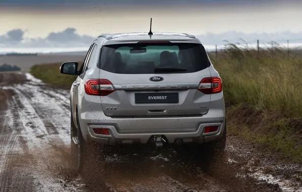 Picture Ford, rear view, Everest, 4WD, XLT, 2019