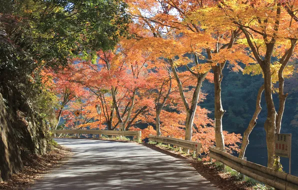 Picture Japan, panorama, Moroyama, Oyagi