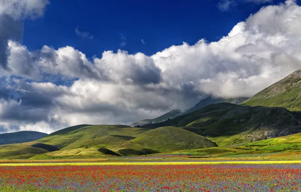 The sky, clouds, flowers, mountains, Maki, meadow, Italy