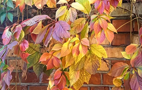 Nature, rendering, the colors of autumn, brick wall, autumn leaves, wild grapes