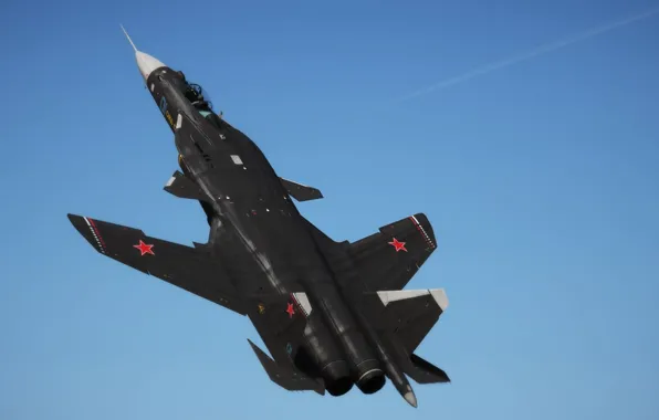 Picture The sky, Fighter, Russia, BBC, The plane, Dry, Su-47, Eagle