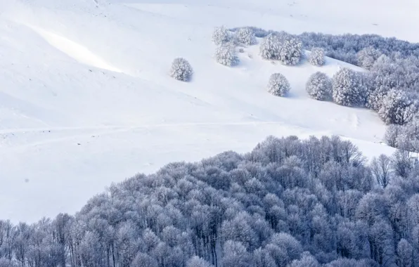 Winter, forest, snow, trees, mountains, hills, the slopes, slope