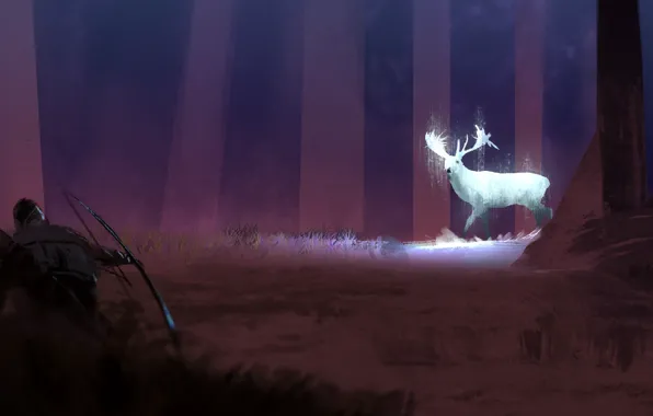 Picture forest, grass, trees, night, deer, bow, art, hunter
