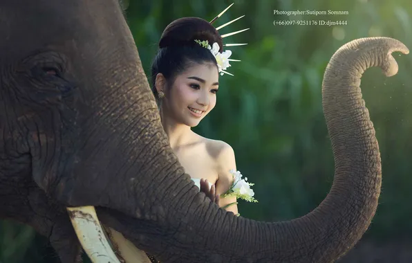 Girl, sexy, woman, model, china, asian, cute, person