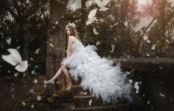 Picture birds, style, mood, model, dress, pigeons, Asian, the bride
