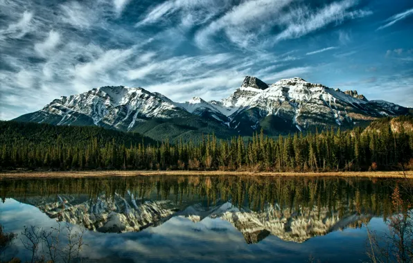 Forest, the sky, clouds, trees, mountains, nature, lake, reflection