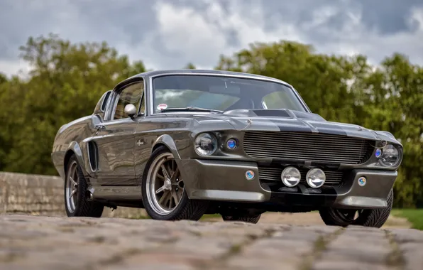 Mustang, Ford, Shelby, GT500, USA, Eleanor, Muscle Car, Classic Car