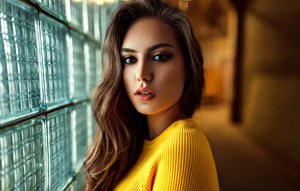 Look, model, portrait, makeup, hairstyle, brown hair, beauty, in yellow