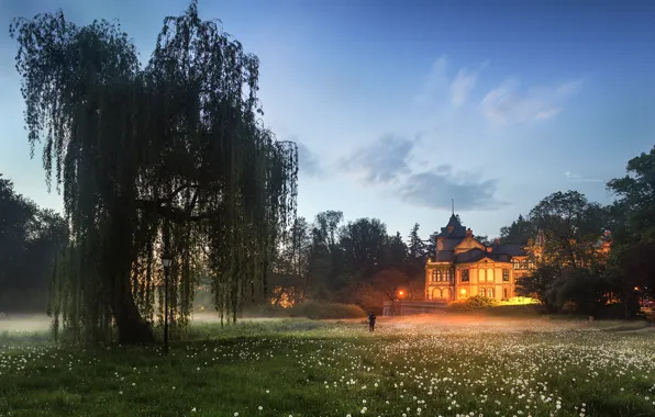 Landscape, nature, fog, house, tree, the evening, meadow, dandelions