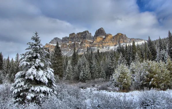 Picture winter, mountains, nature