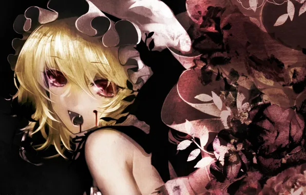 Picture blood, fangs, red eyes, touhou, hunger, Vampire, in the dark, vampire