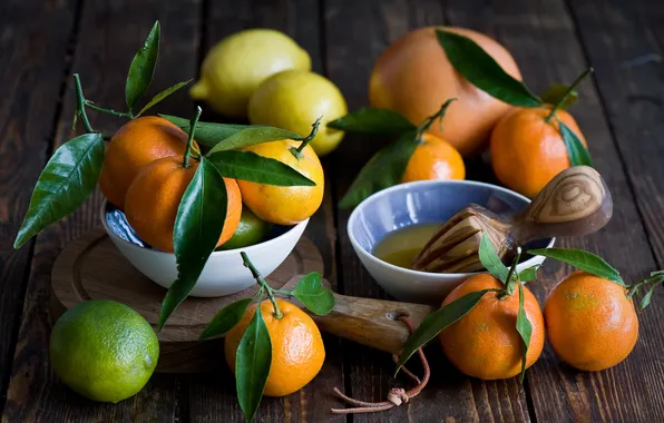 Picture leaves, citrus, fruit, tangerines
