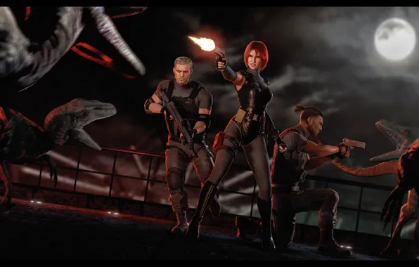 Girl, night, weapons, agent, capcom, Rick, Regina, Gail