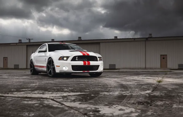 Picture white, clouds, the building, Mustang, Ford, Shelby, Mustang, muscle car
