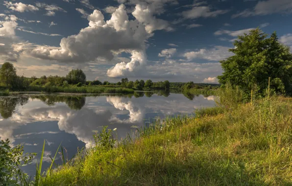 Picture beauty, greens, the sky, trees, river, clouds, Summer evening