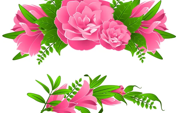 Picture white, flowers, background, pink