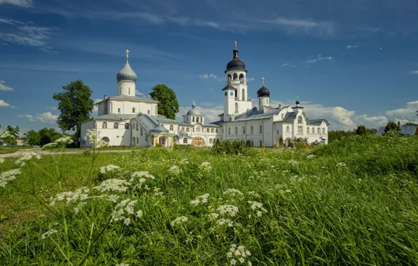 Summer, grass, water, landscape, nature, Pskov oblast, Yuri Kulakov, Krypetskoy Monastery