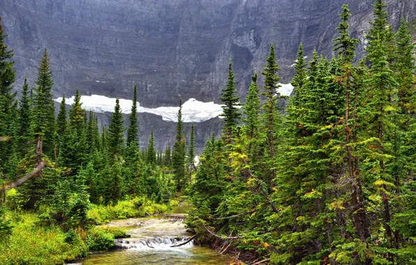 Forest, snow, mountains, river, spruce