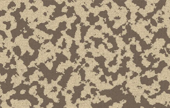 Weapons, color, painting, Camouflage