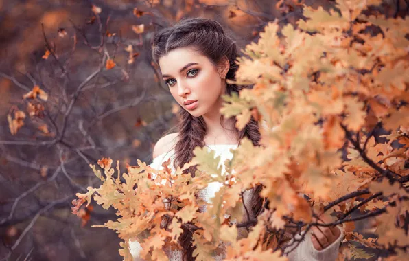 Girl, long hair, trees, brown hair, photo, photographer, blue eyes, leaves