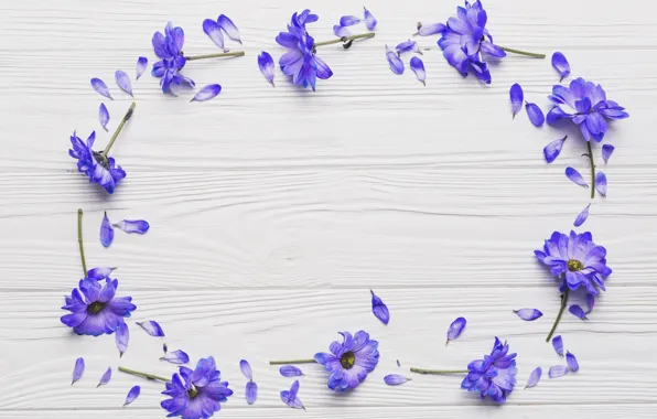 Petals, wood, flowers, violet