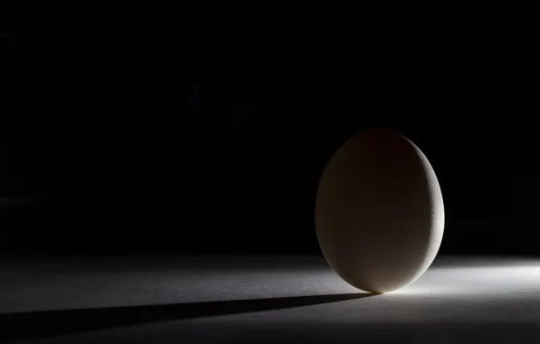 Light, shadow, form, egg
