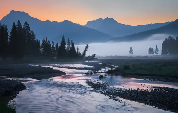 Trees, landscape, mountains, nature, fog, river, dawn, morning