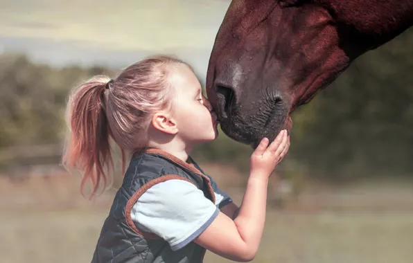 Picture mood, horse, girl
