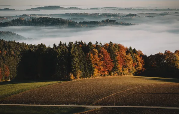 Road, field, autumn, forest, clouds, light, fog, hills