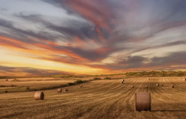 Picture field, summer, sunset, hay