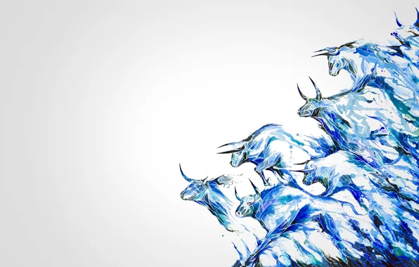 Picture Wallpaper, figure, horns, the herd, bull