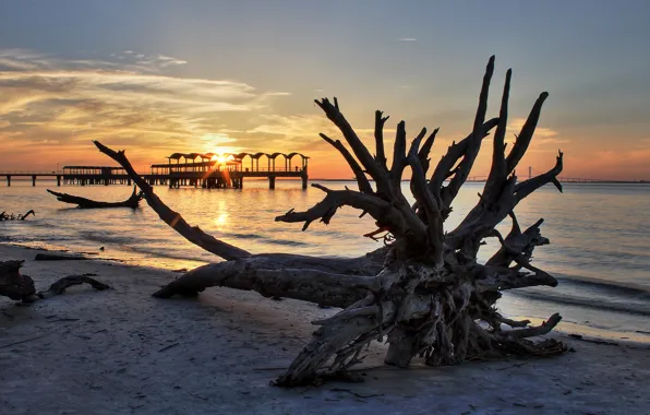 Beach, sunset, sand, trunk