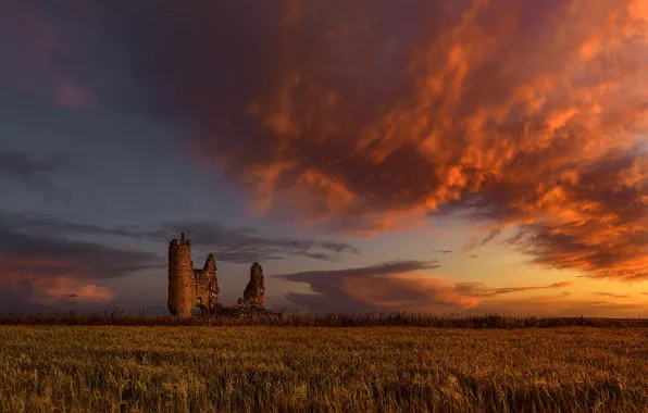 Field, castle, ruins