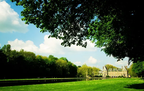 Greens, nature, Park, river