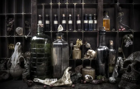 Picture skulls, flowers, bottles, berries, snails, potions, vials, poisons